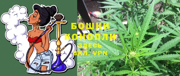 apvp Надым