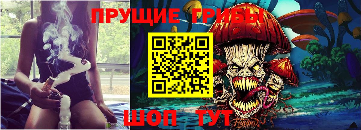 Канск  Псилоцибиновые грибы Psilocybe  дарнет шоп  Вход с VPN 