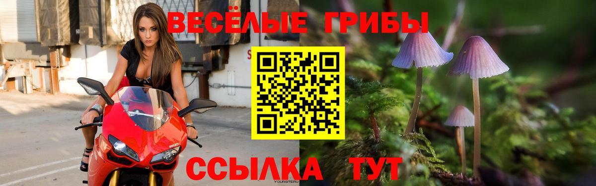 Каннабис Канск